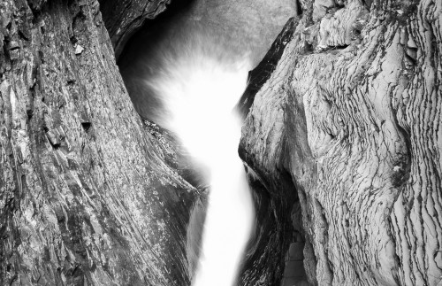 Photography for Non-Majors, Portraiture Assignment, Archival Pigment Print, 8 in x 10 in, 2012