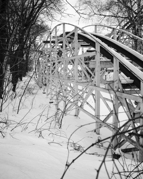Photography for Non-Majors, Portraiture Assignment, Archival Pigment Print, 10 in x 8 in, 2013