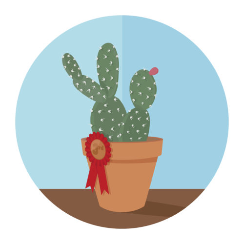 Adequate Cactus